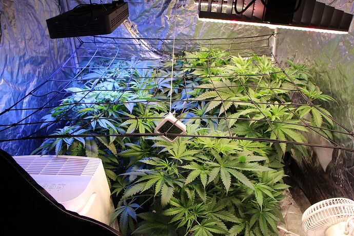Growreport Bild 12