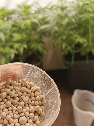 Growreport Bild 1