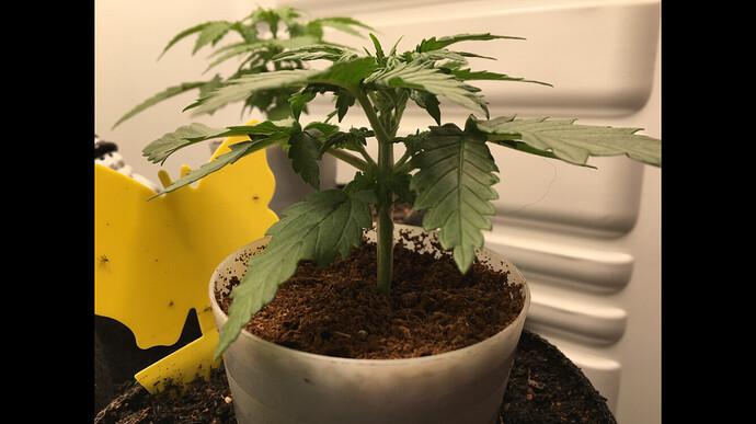 Growreport Bild 21