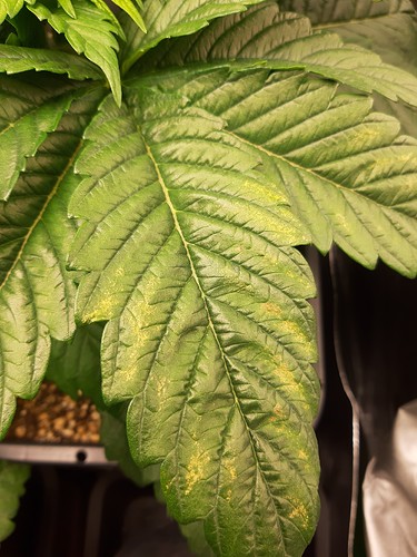 Growreport Bild 10