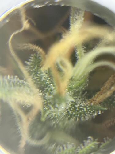 Growreport Bild 24