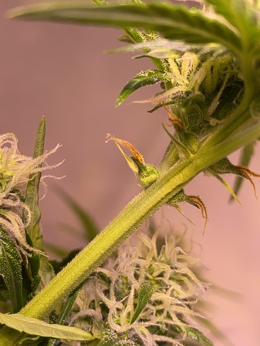 Growreport Bild 2