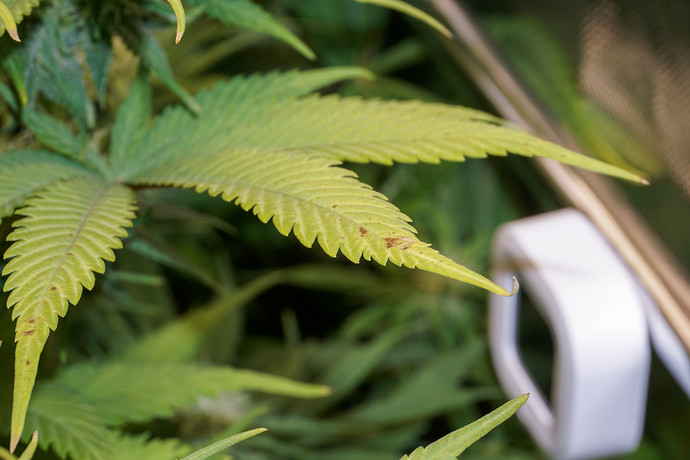 Growreport Bild 14