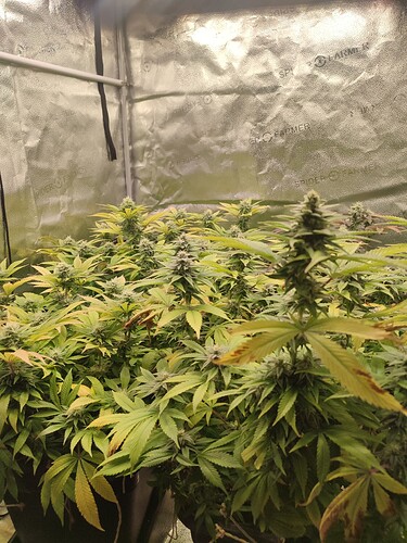 Growreport Bild 5