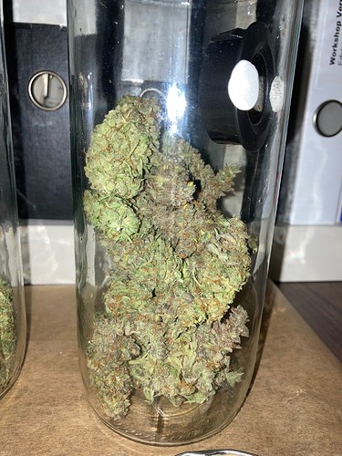 Growreport Bild 10