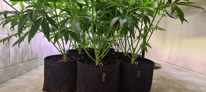 Growreport Bild 6