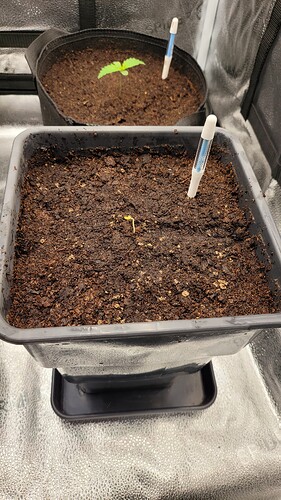 Growreport Bild 96