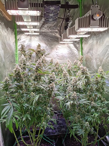 Growreport Bild 14