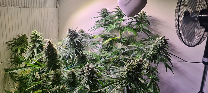 Growreport Bild 11