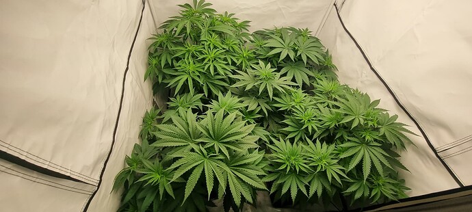Growreport Bild 20