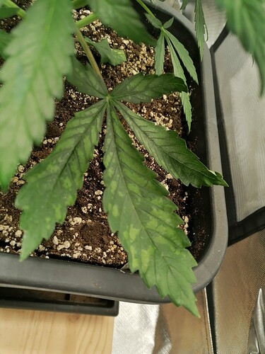 Growreport Bild 15