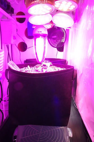 Growreport Bild 13
