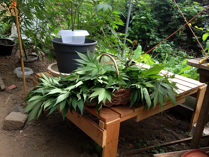 Growreport Bild 9