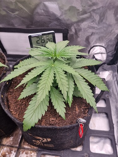 Growreport Bild 10