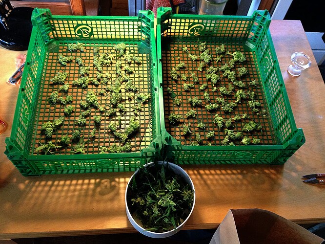 Growreport Bild 6