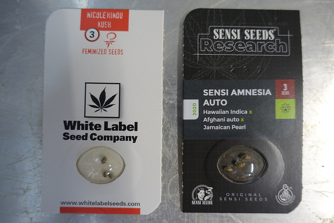 Growreport Bild 20