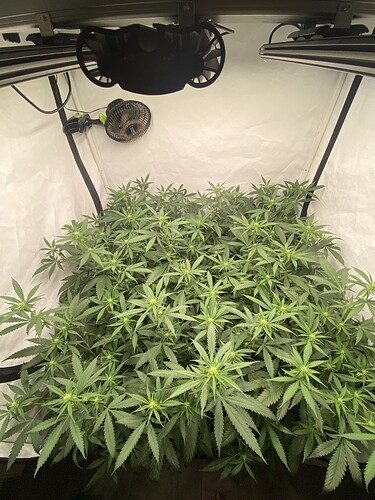 Growreport Bild 4