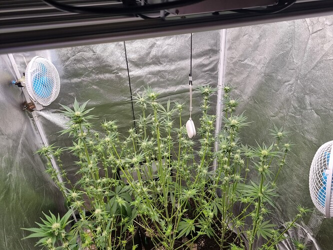 Growreport Bild 16