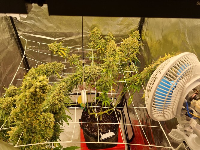 Growreport Bild 46