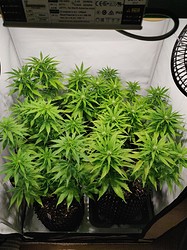 IMG_20210121_132023