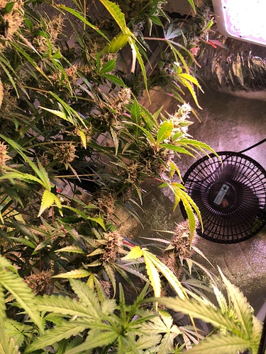 Growreport Bild 16