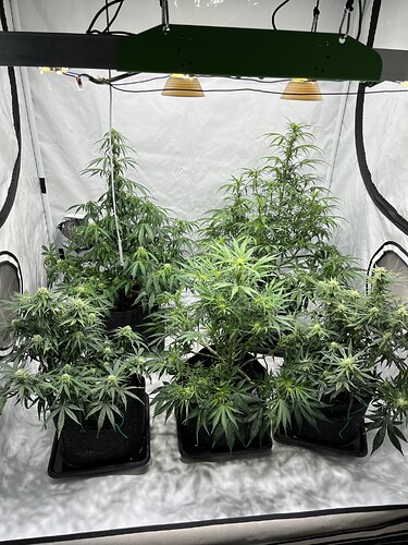 Growreport Bild 17