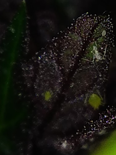 IMG_20210714_172006