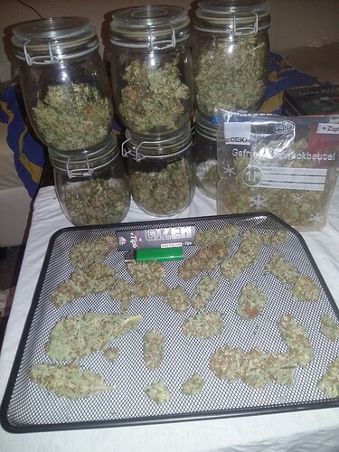 Growreport Bild 1
