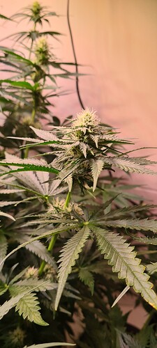Growreport Bild 10