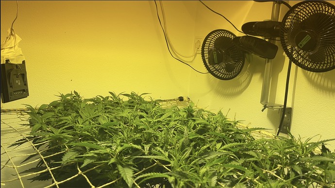 Growreport Bild 3