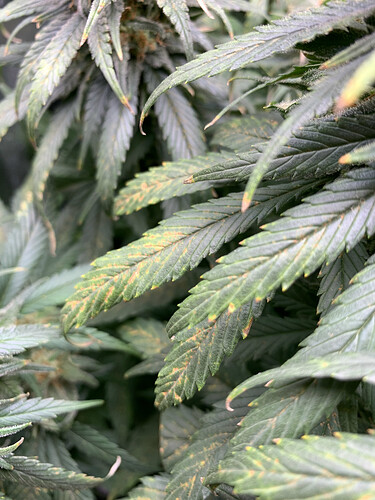 Growreport Bild 20