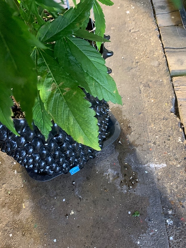 Growreport Bild 14