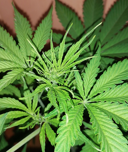 Growreport Bild 8