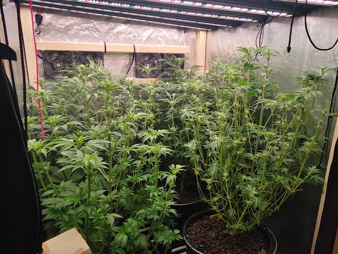 Growreport Bild 9