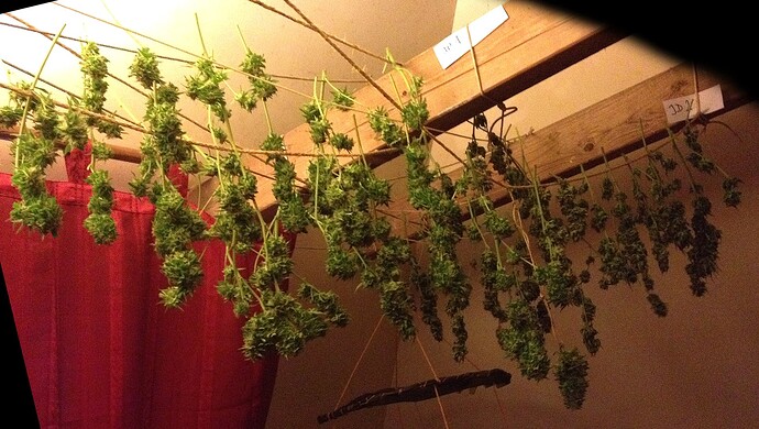 Growreport Bild 7