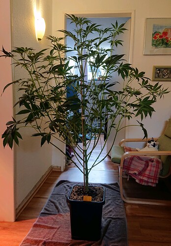 Growreport Bild 13