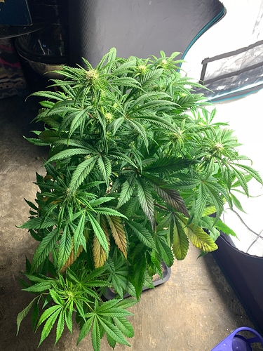 Growreport Bild 8