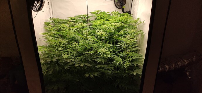 Growreport Bild 1