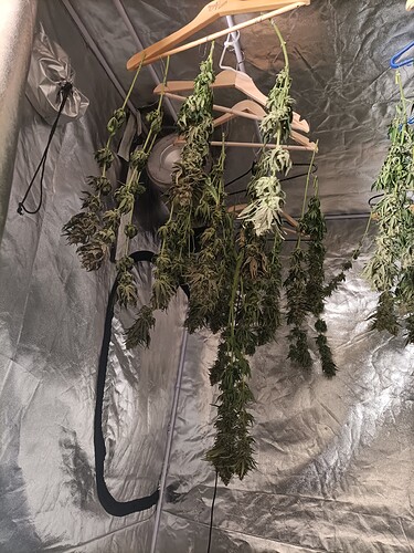 Growreport Bild 9