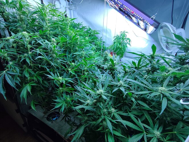 Growreport Bild 18