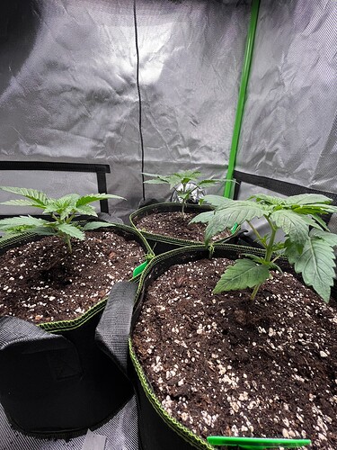 Growreport Bild 11