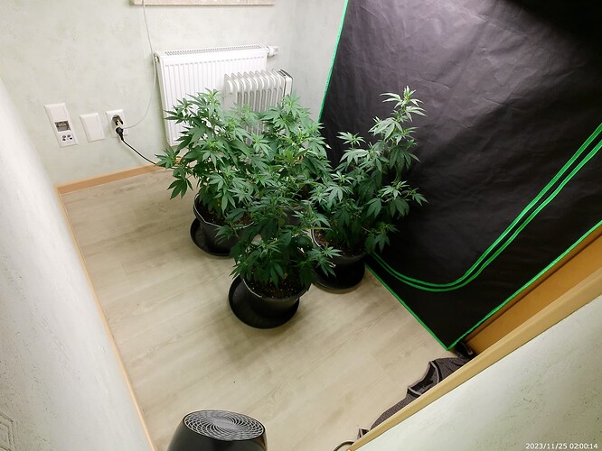Growreport Bild 22
