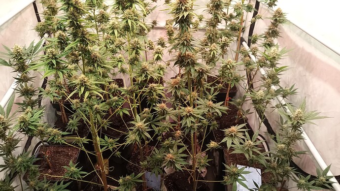 Growreport Bild 11