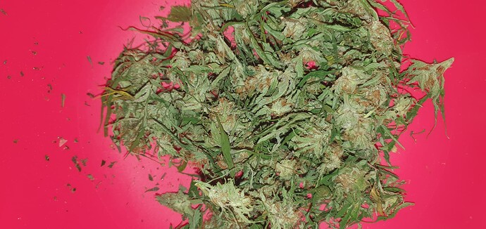 Growreport Bild 18