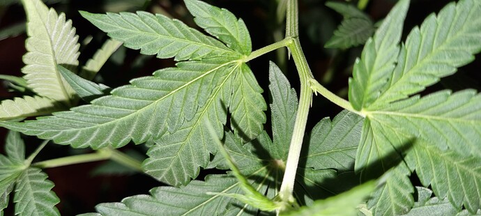 Growreport Bild 10
