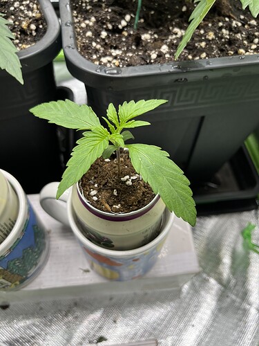Growreport Bild 21