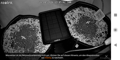 Growreport Bild 20