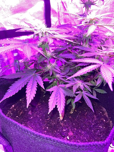 Growreport Bild 14
