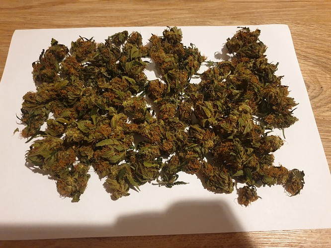 Growreport Bild 6