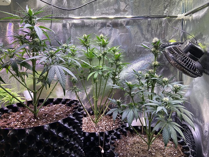 Growreport Bild 16